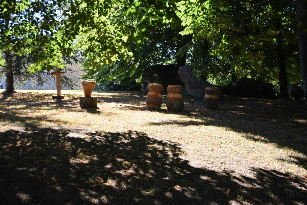 Liorac-sur-Louyre Domaine De La Rocque Bed & Breakfast エクステリア 写真
