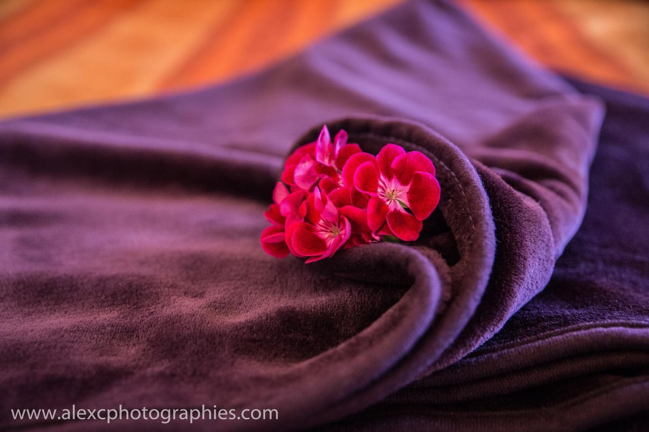 Liorac-sur-Louyre Domaine De La Rocque Bed & Breakfast エクステリア 写真